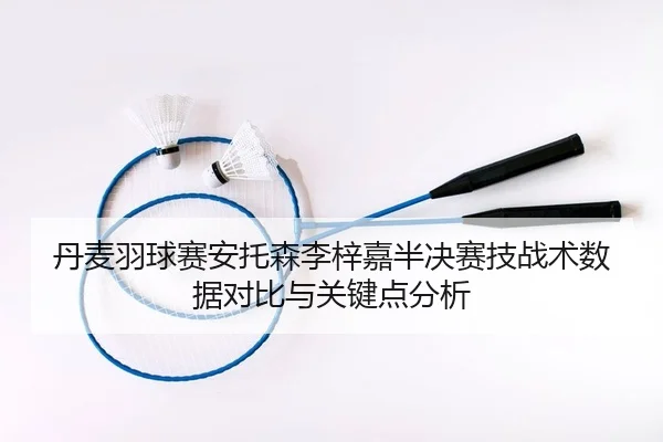 dan-mai-yu-qiu-sai-an-tuo-sen-li-zi-jia-ban-jue-sai-ji-zhan-shu-shu-ju-dui-bi-yu-guan-jian-dian-fen-xi-2-895.jpg